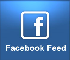 Facebook Feed