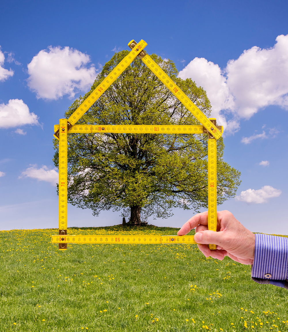 BUILDING A FLOURISHING HOME